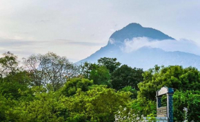 Athma Aruna Stayinn Thiruvannamalai